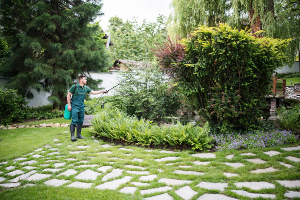 Best Best Pest Control Companies  in Yankton, SD