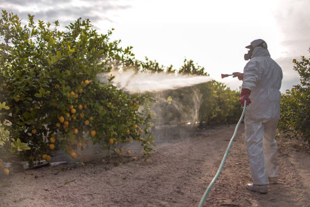 Trusted Yankton, SD Pest Control Experts