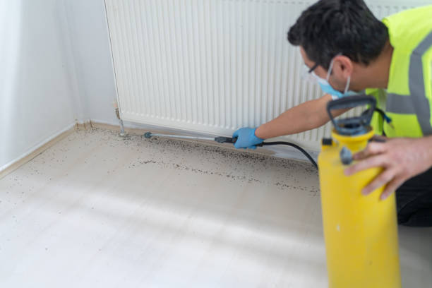 Best Wasp Removal Services  in Yankton, SD